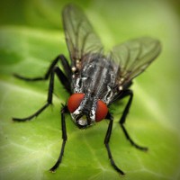 /album/omeskokra/photolia-a01-jpg/