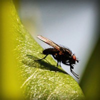 /album/omeskokra/photolia-a04-jpg/