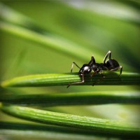 /album/omeskokra/photolia-a05-jpg/