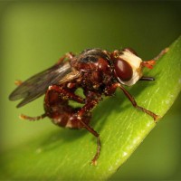 /album/omeskokra/photolia-a06-jpg/