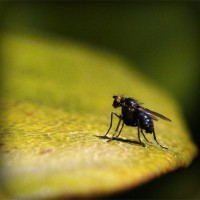 /album/omeskokra/photolia-a07-jpg/